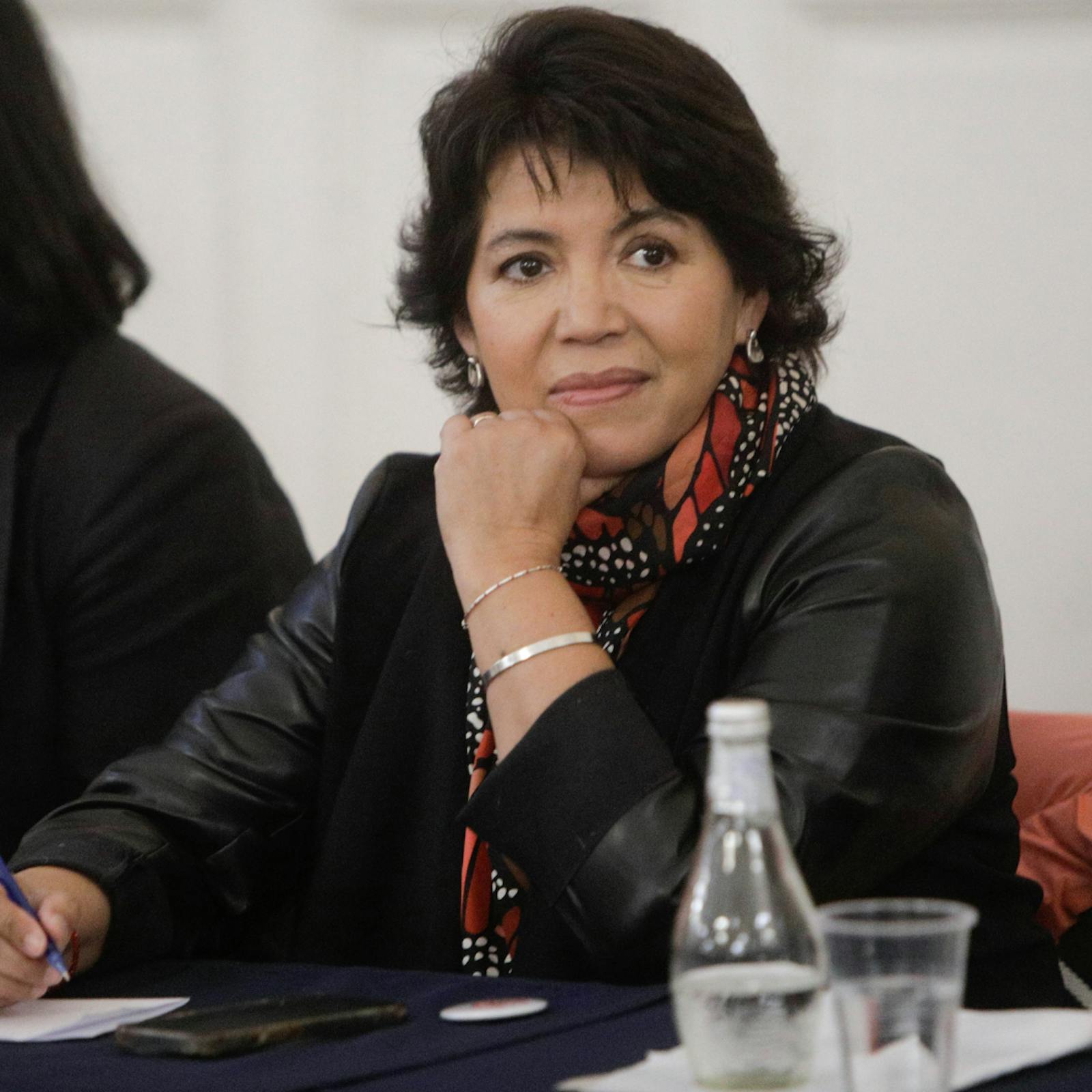 Senadora Provoste y megarreforma: "Nuestro propósito es proteger al país del déficit fiscal, que los expertos ven como el gran peligro de este proyecto" episode artwork