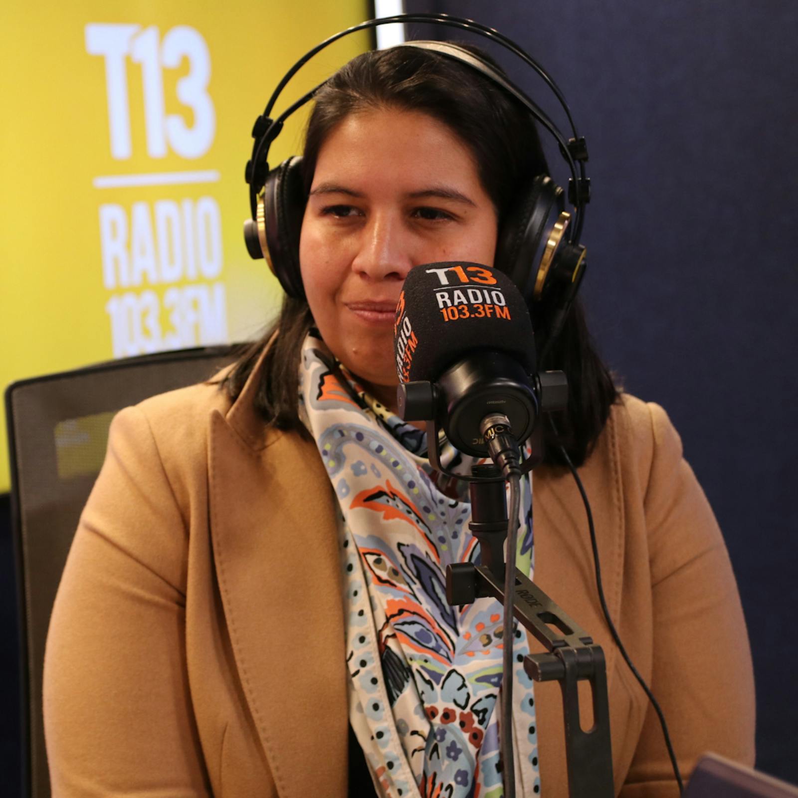 Senadora Balladares (RN) por relación en el oficialismo: "Nuestra vocación desde Chile Vamos es que al Gobierno le vaya bien" episode artwork