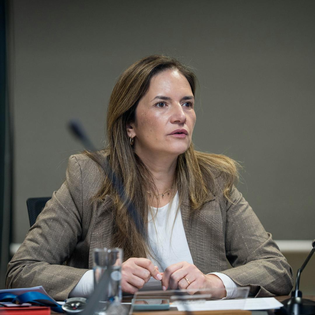 Directora del Senapred, Alicia Cebrían, por sistema frontal: "Necesitamos que la ciudadanía colabore, es un llamado a cuidarse"