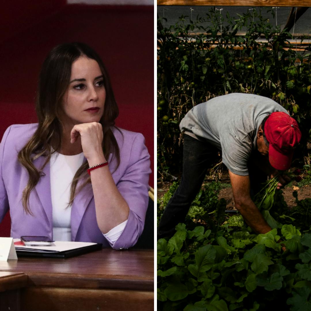 Los coletazos que dejó en el oficialismo la entrevista de Mara Sedini y el debate por la flexibilidad laboral