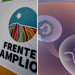 Las dos almas del Frente Amplio previo a elecciones internas y el dilema de la terapia génica