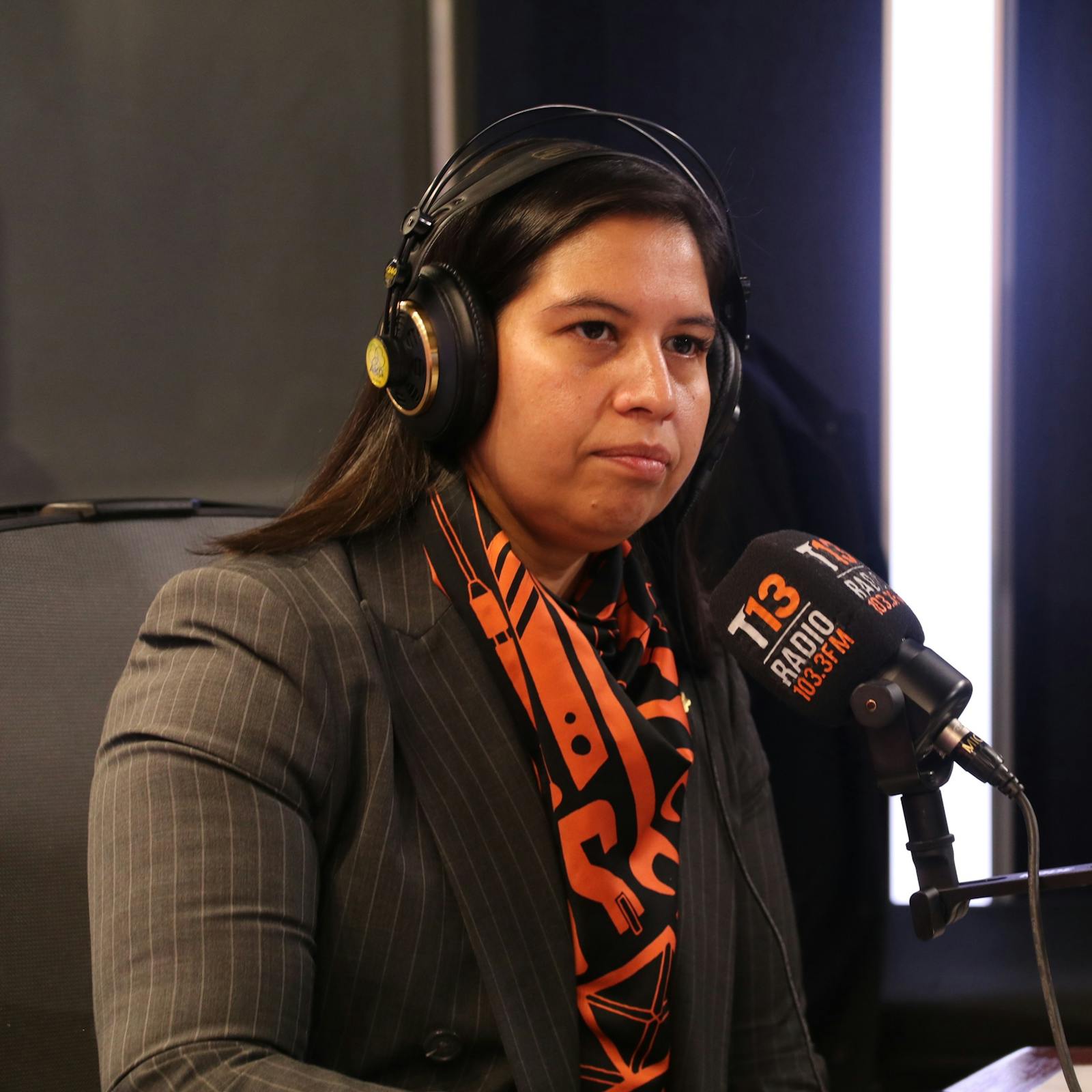 Presidenta de RN por reforma de seguridad: “Tenemos un texto presentado que todavía tiene hartas dudas, hay espacio para mejorarlo” episode artwork