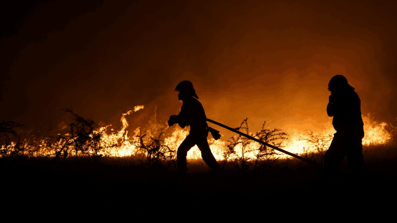 Martín Andrade sobre el Día de la Prevención de los Incendios Forestales y la vulnerabilidad en territorios 
