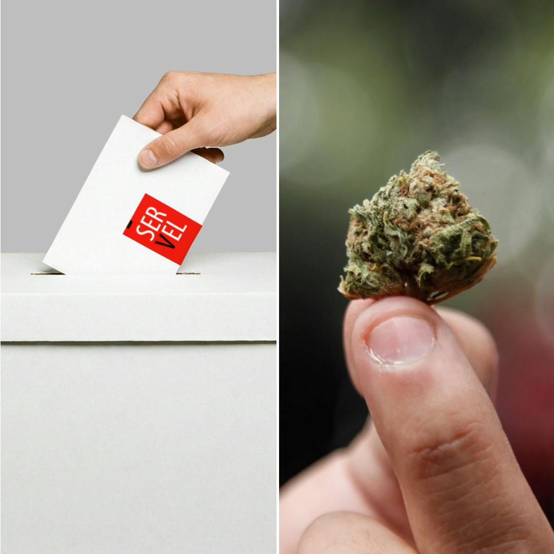 Escobar y Valdivieso por los hallazgos sobre la marihuana en EE. UU.  y qué pasa con la democracia liberal