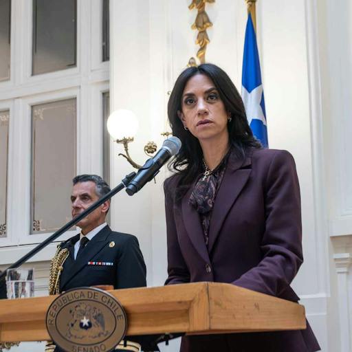 Paulina Núñez por discusión de reforma de seguridad: "El Ejecutivo tiene el deber de construir una mayoría que nos permita llegar a 29 votos"