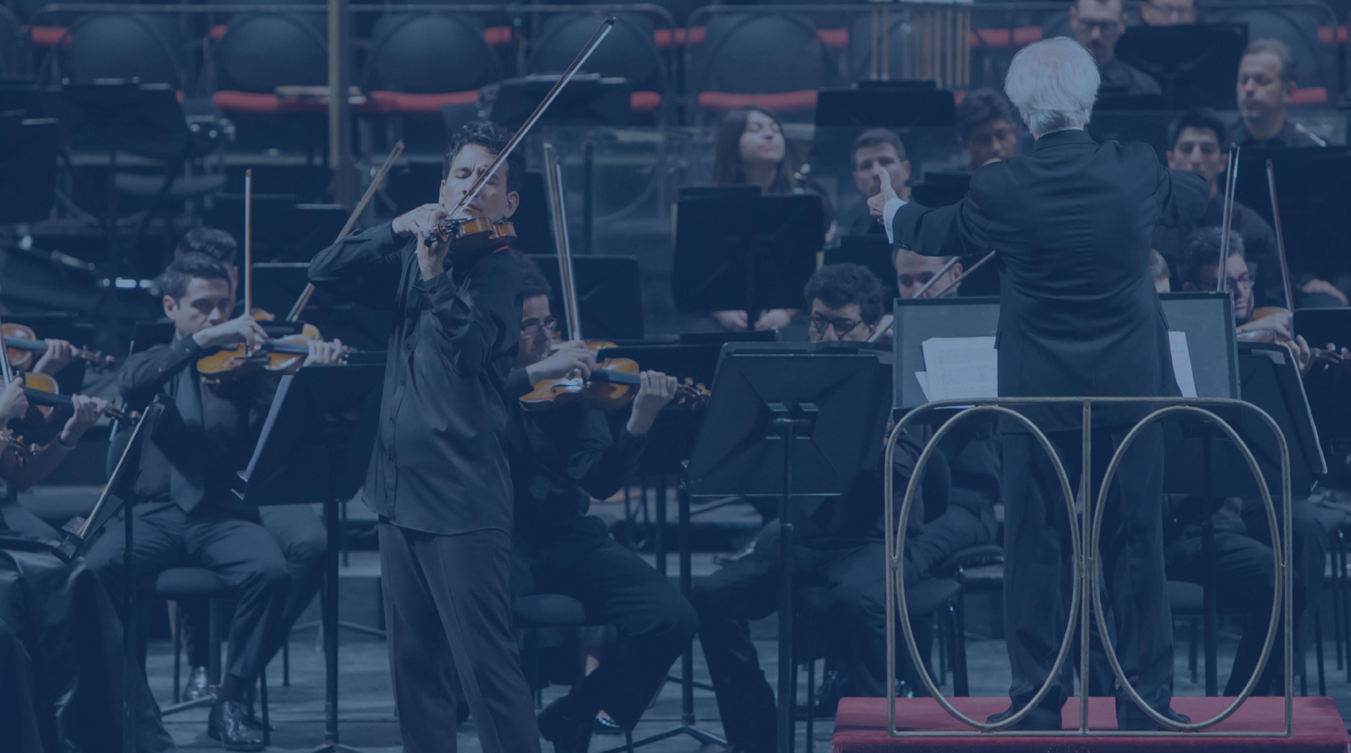 Beethoven y el violín | Concierto | Municipal Delivery
