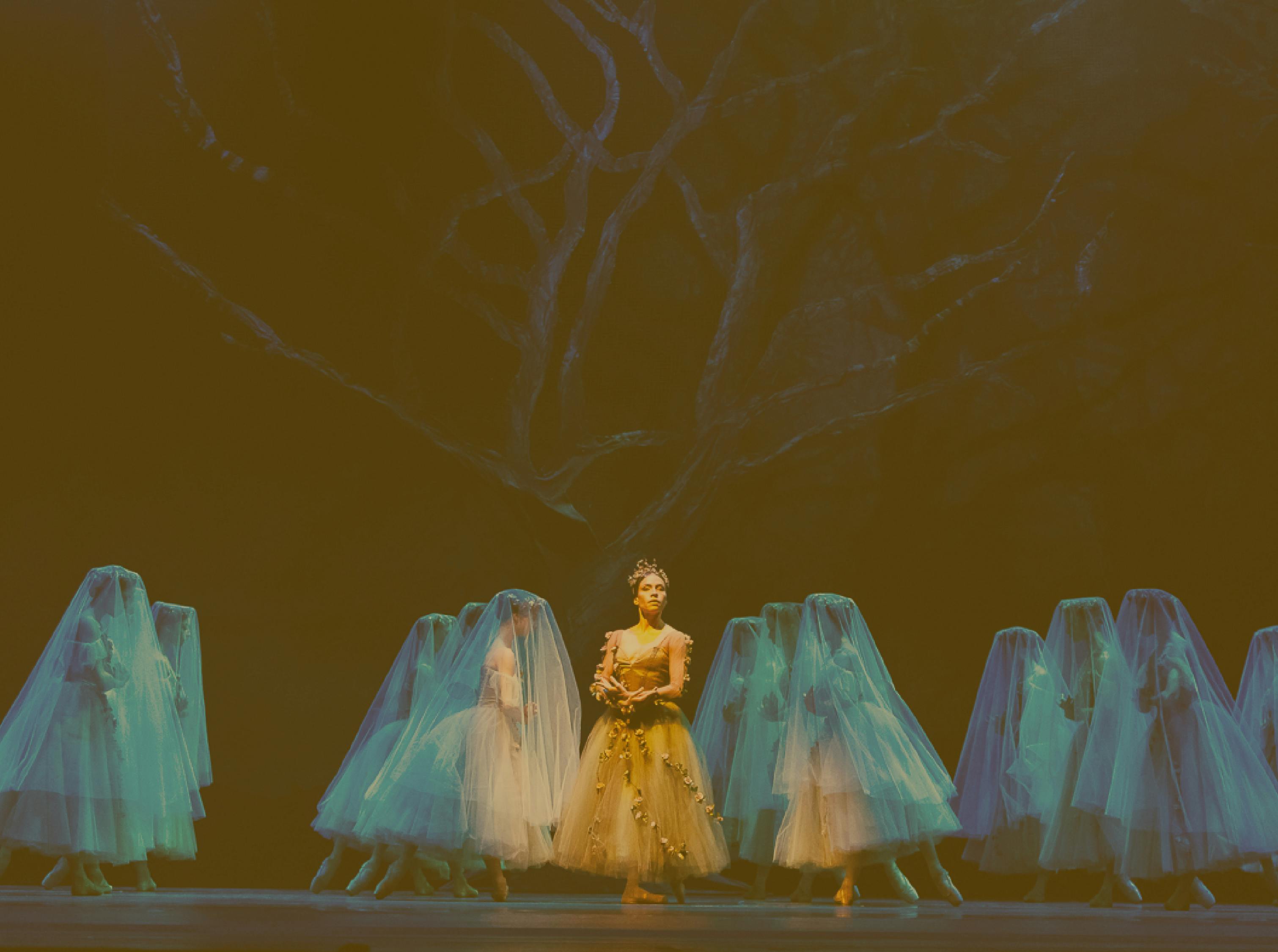 "Giselle" | Ballet | Municipal Delivery