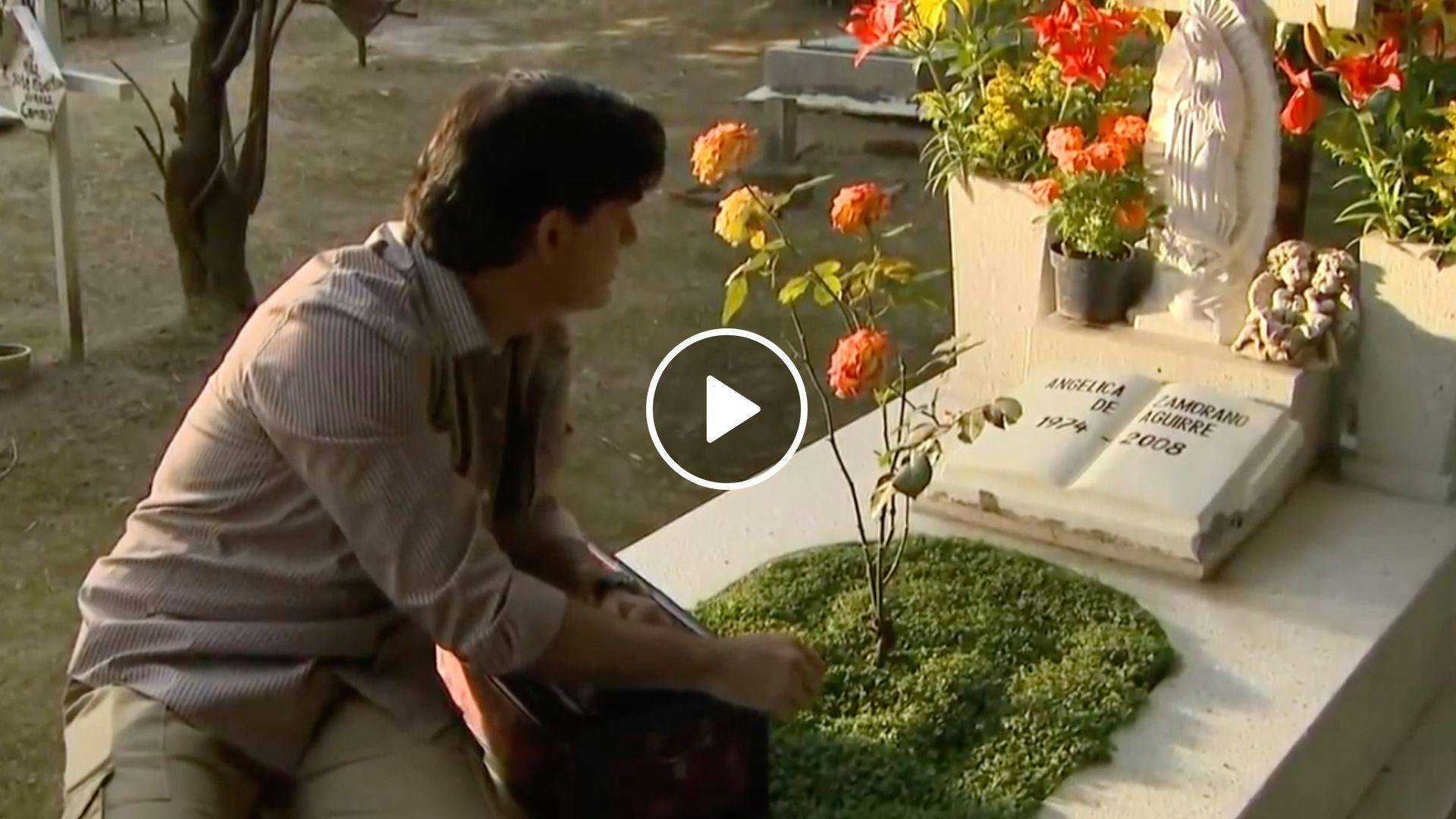 Capitulo 24