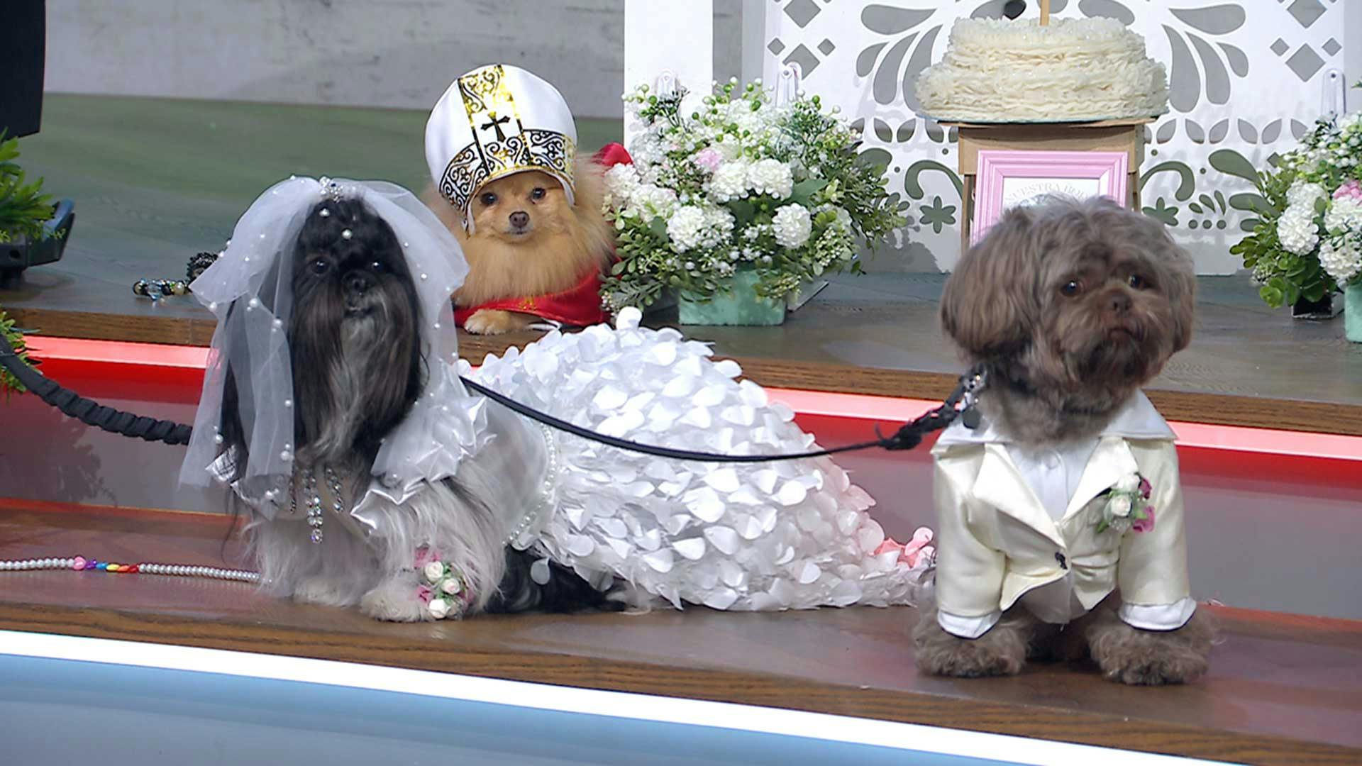 Programa 23 septiembre 2024 Parte 1 | ¡Tuvimos una boda de pelos!