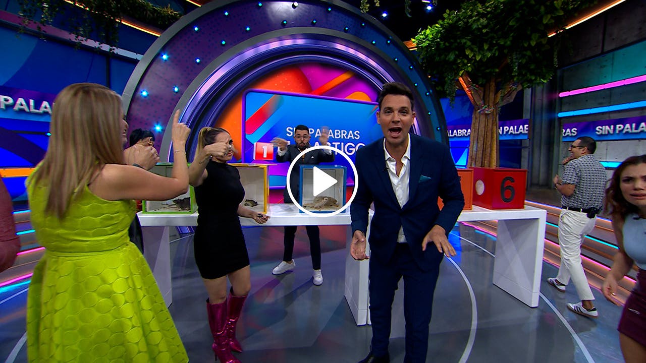 Programa 06 febrero 2024 Parte 2 | ¡Día de castigo del Sin Palabras!