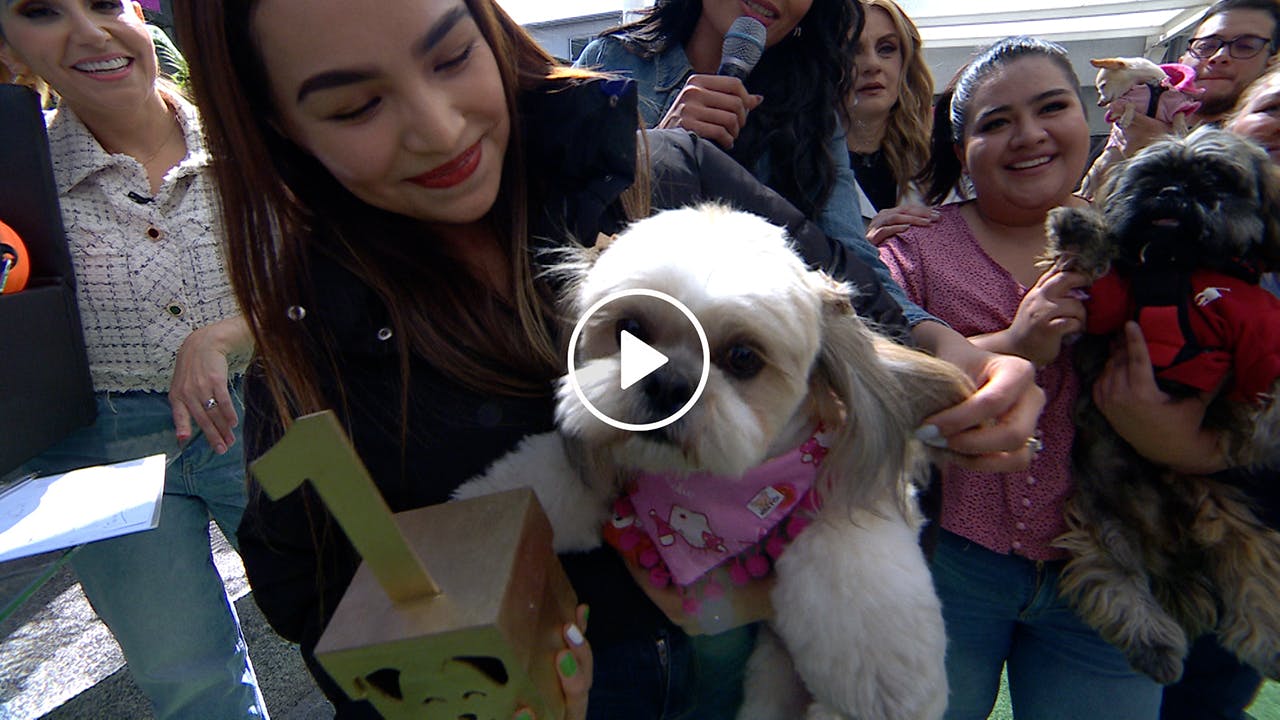 Programa 2 febrero 2024 Parte 2 | Se dio todo en la Carrera de Lomitos