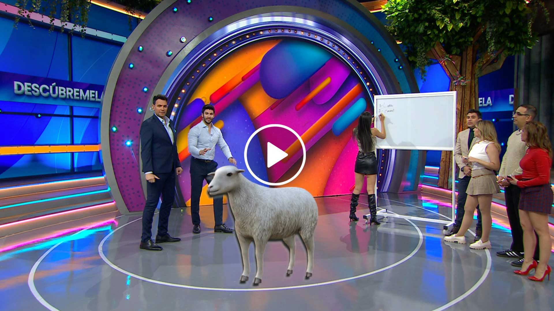 Programa 18 enero 2024 Parte 2 | Hubo mucha presión en 'Descúbremela'