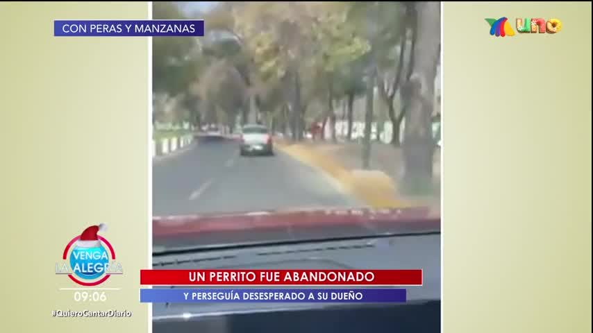 Programa 02 diciembre 2021 Parte 1 | Duelo sin tregua en el programa.