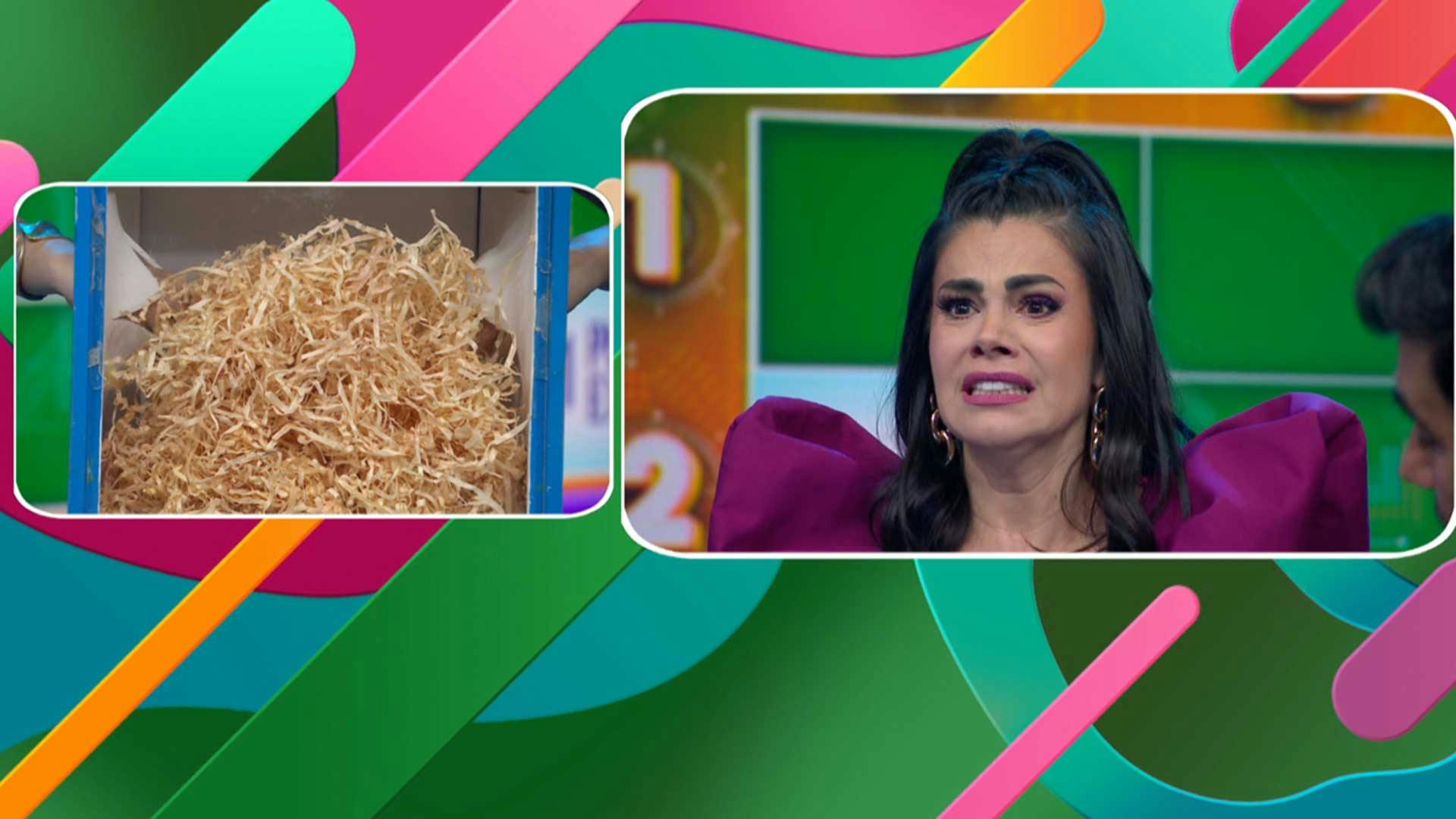 ¡No creerás lo Luz Elena tocó en la caja misteriosa en Coordenadas!