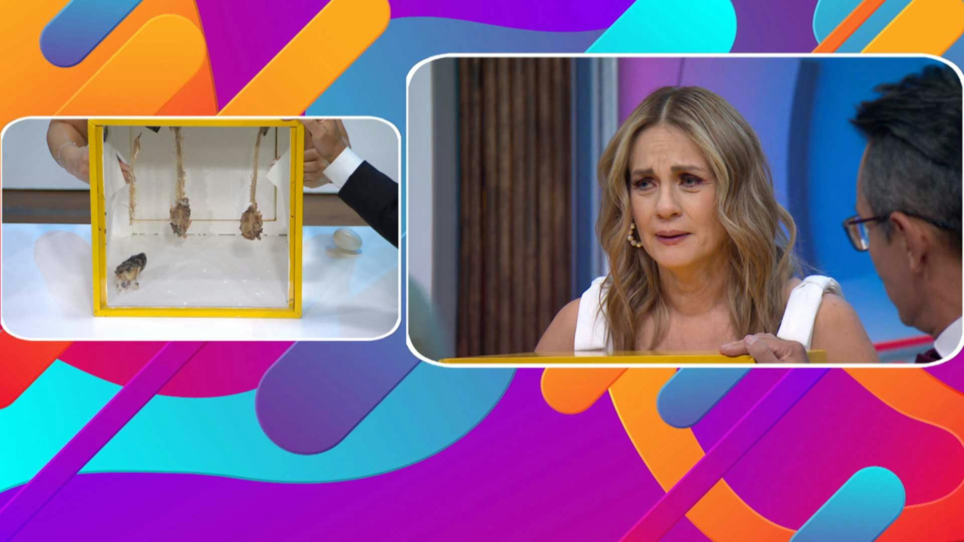 Hora de que los perdedores cumplan el castigo, ¿qué hay dentro de las cajas?