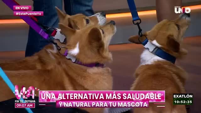 Programa 2 de febrero de 2025 Parte 1 | Venga La Alegría Fin De Semana