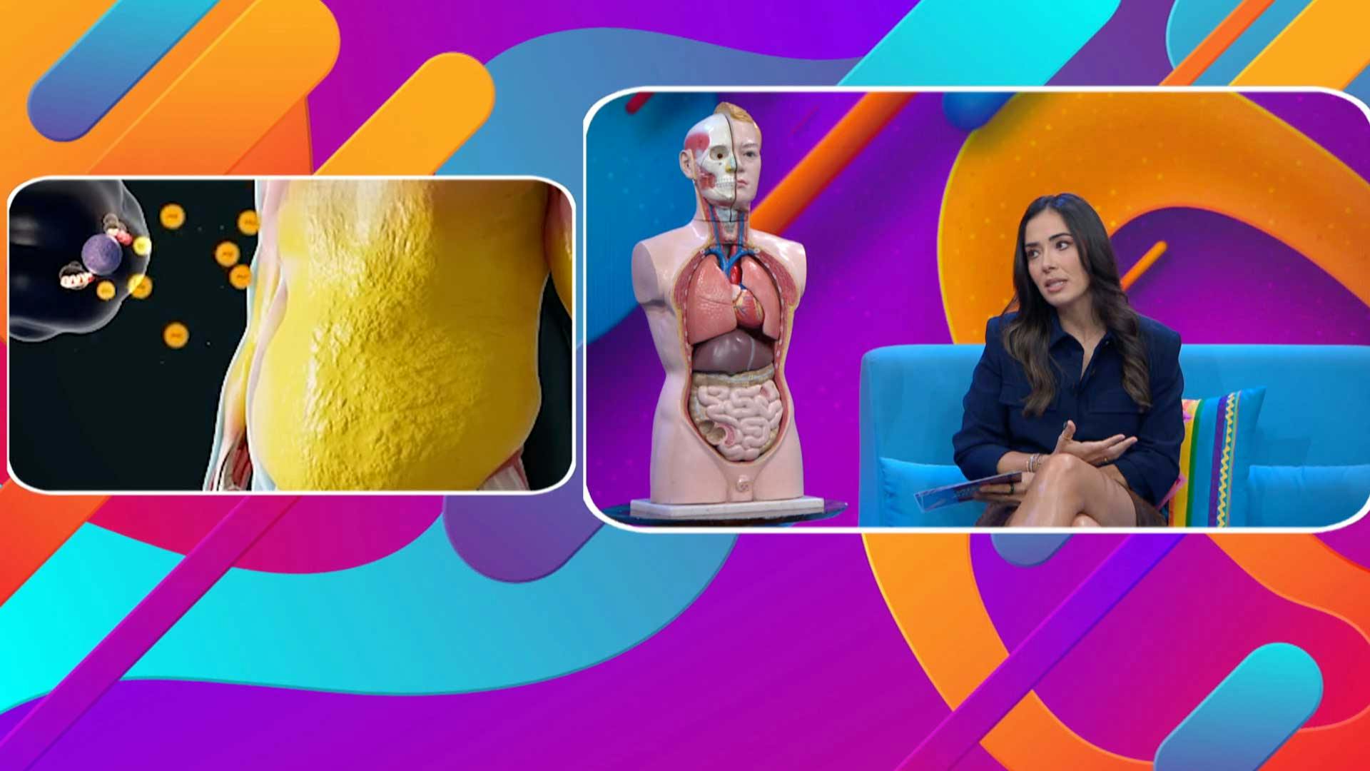 ¿Cómo podemos eliminar la grasa abdominal? ¡Te lo contamos!