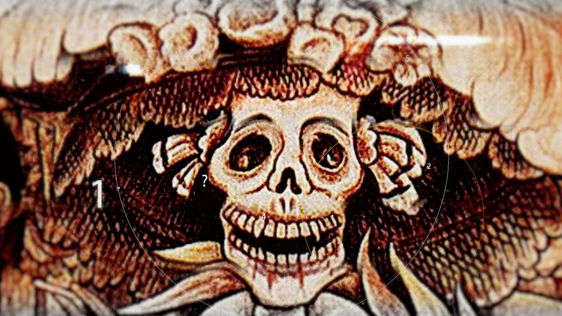 Las vemos por aquí y las vemos por allá, pero ¿Sabes de dónde vienen?