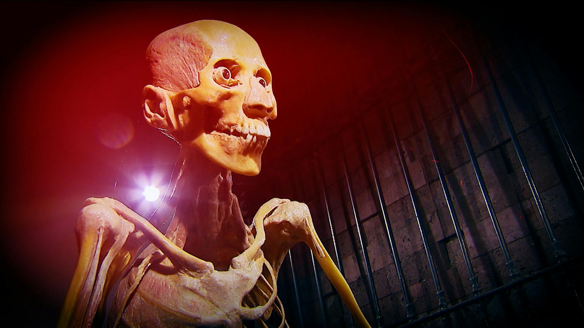 ¡Lo más espeluznante! Esto sucedió en una exposición del cuerpo humano