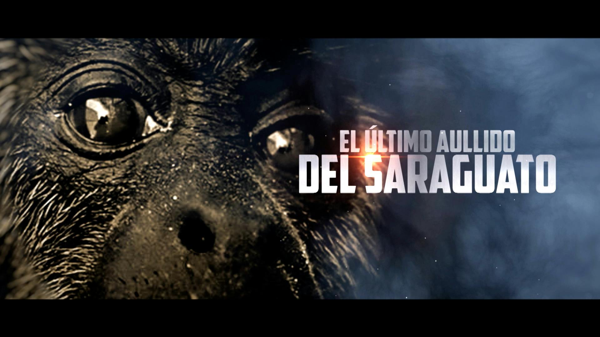 El último aullido del mono saraguato, un reportaje de Irving Caballero