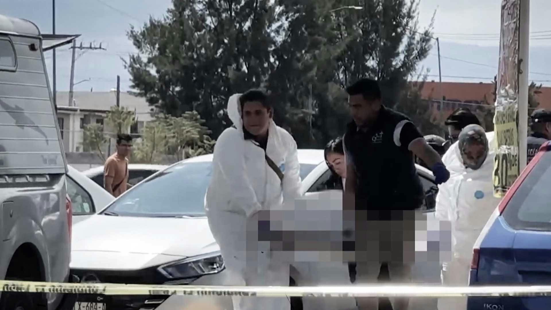 Los cazaron y los plomearon... ¡Fueron más de 15 disparos!