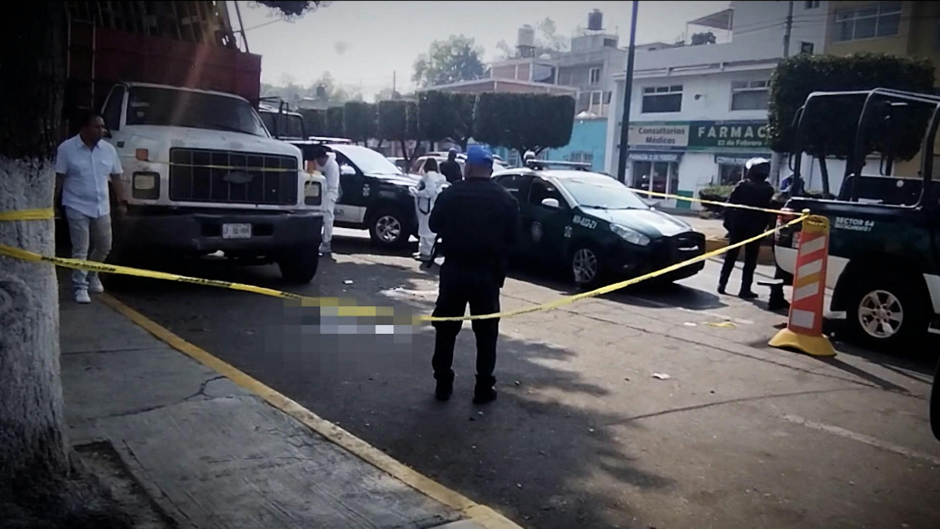 La víctima podaba un árbol... ¡pero la muerte ya lo estaba esperando!