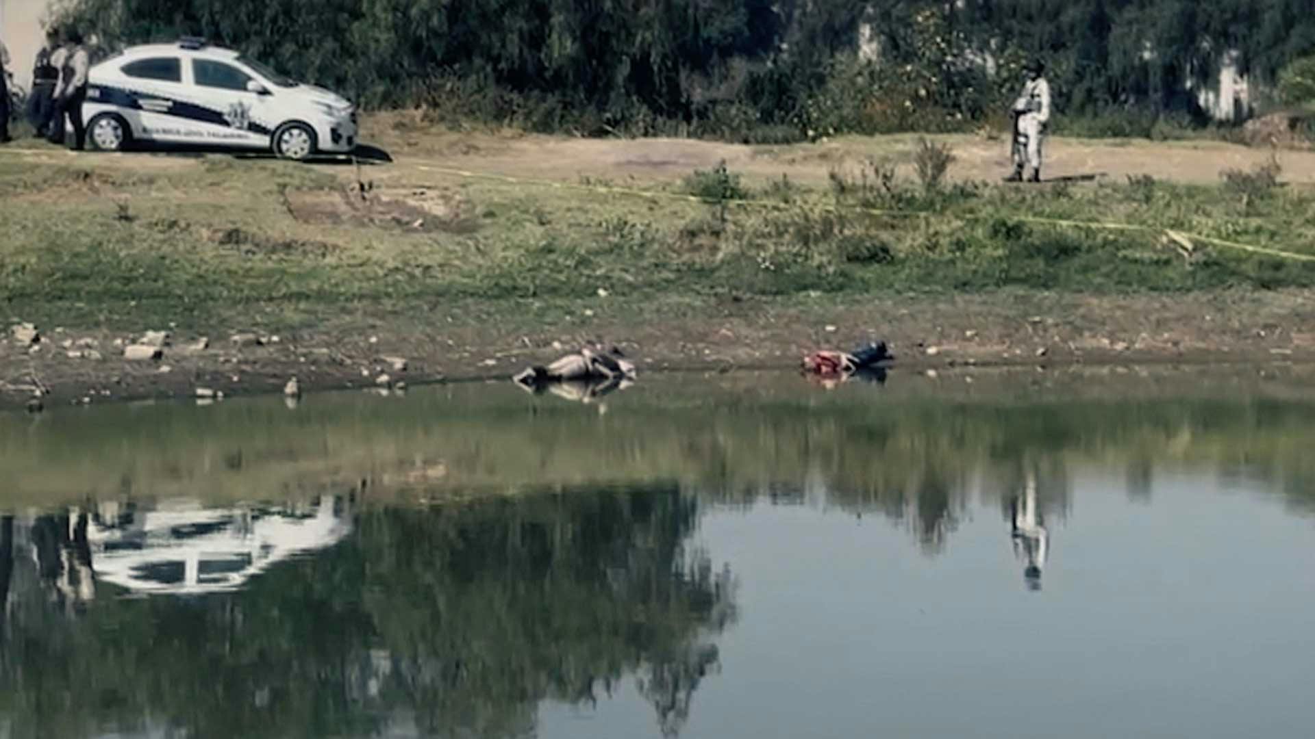 Una mujer paseaba a sus animales... ¡Y encontró dos cuerpos!
