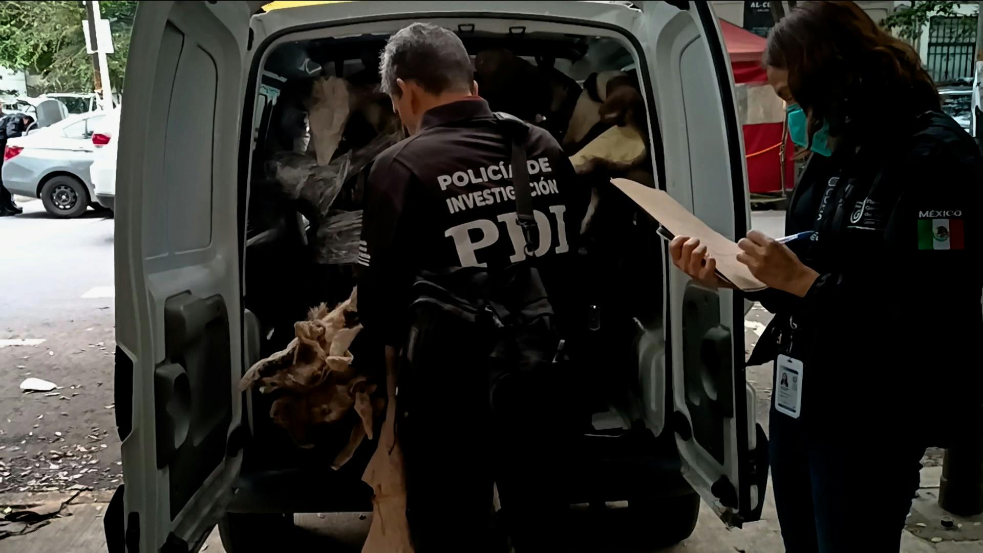 ¡Insólito! Poseían cabezas y pieles de animales exóticos y así les fue