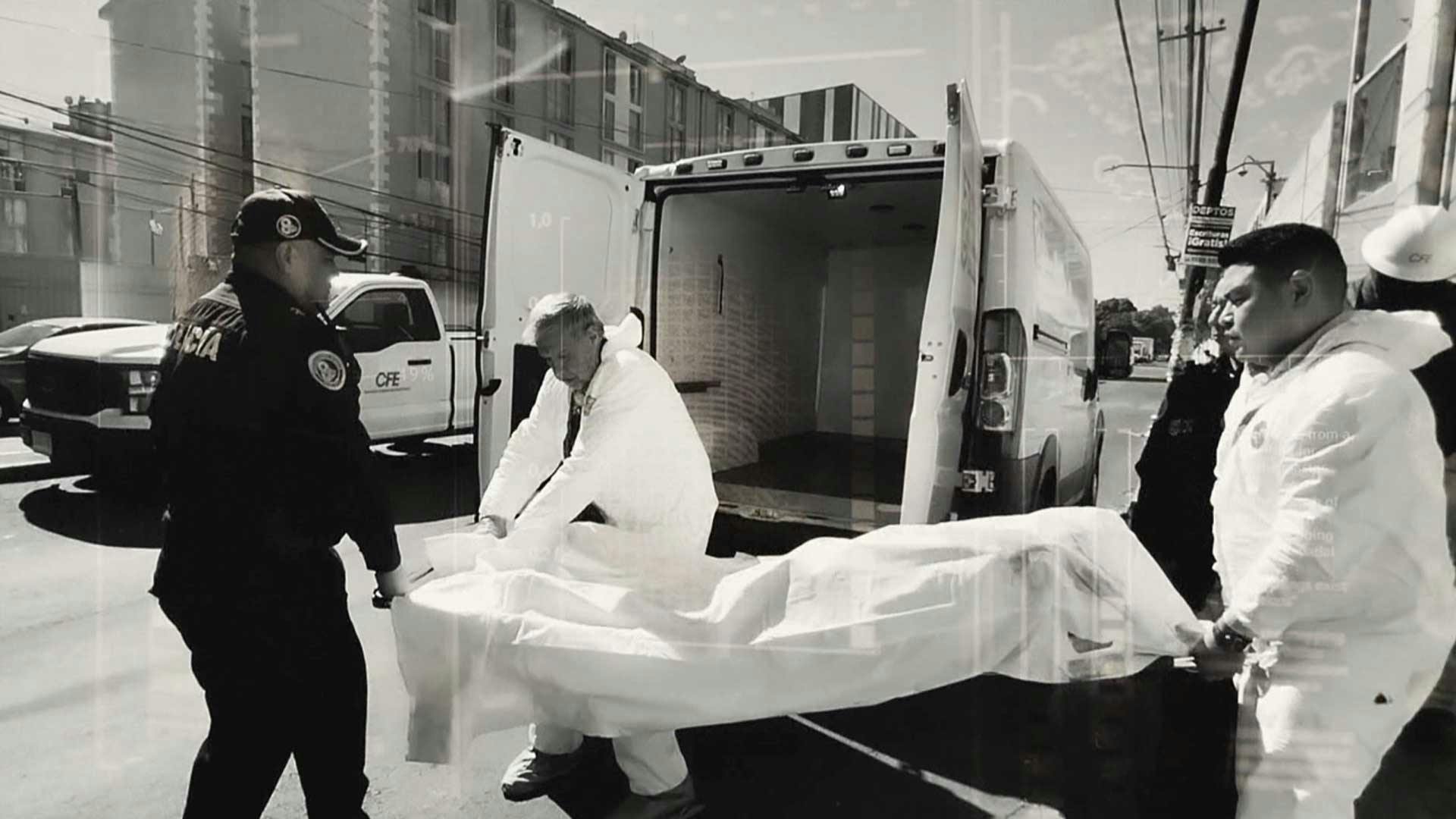 Un hombre se metía a robar junto con sus 4 perritos. ¿Qué sucedió?