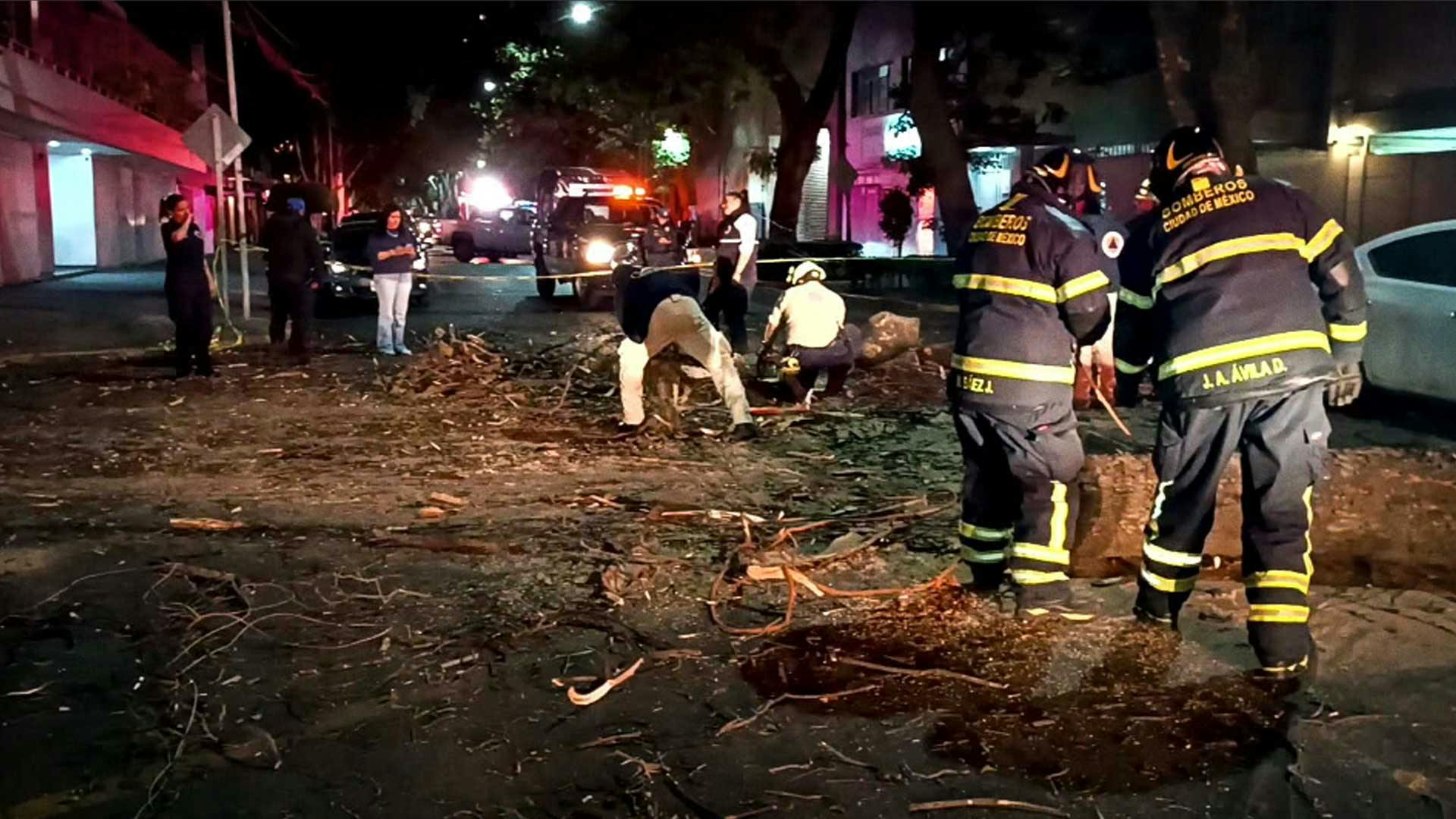 ¡Fuera abajo! Un árbol cayó y causó destrozos en Polanco, CDMX