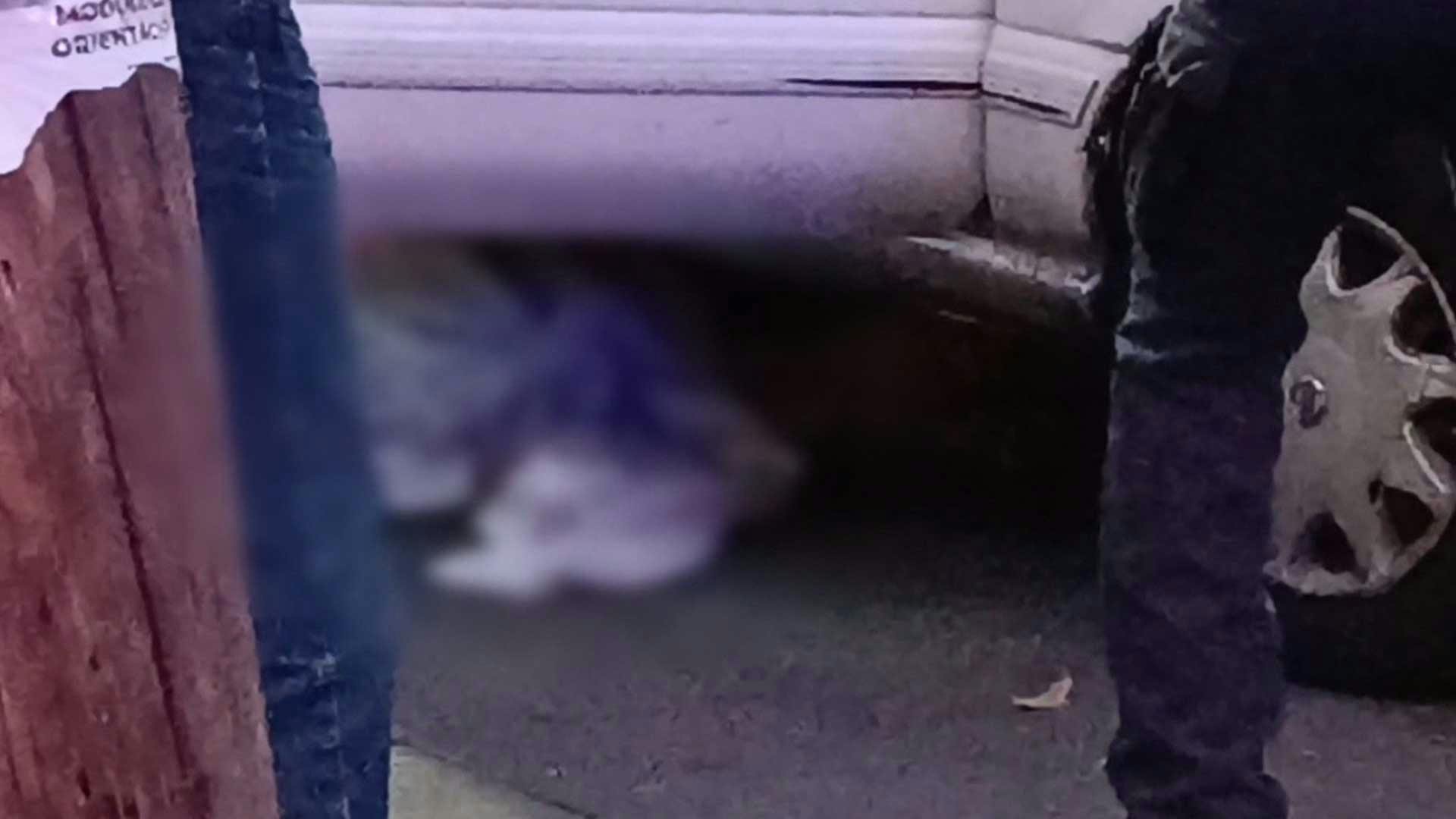 ¡Su propio esposo la atropelló! Un accidente fatal, le cobró la vida