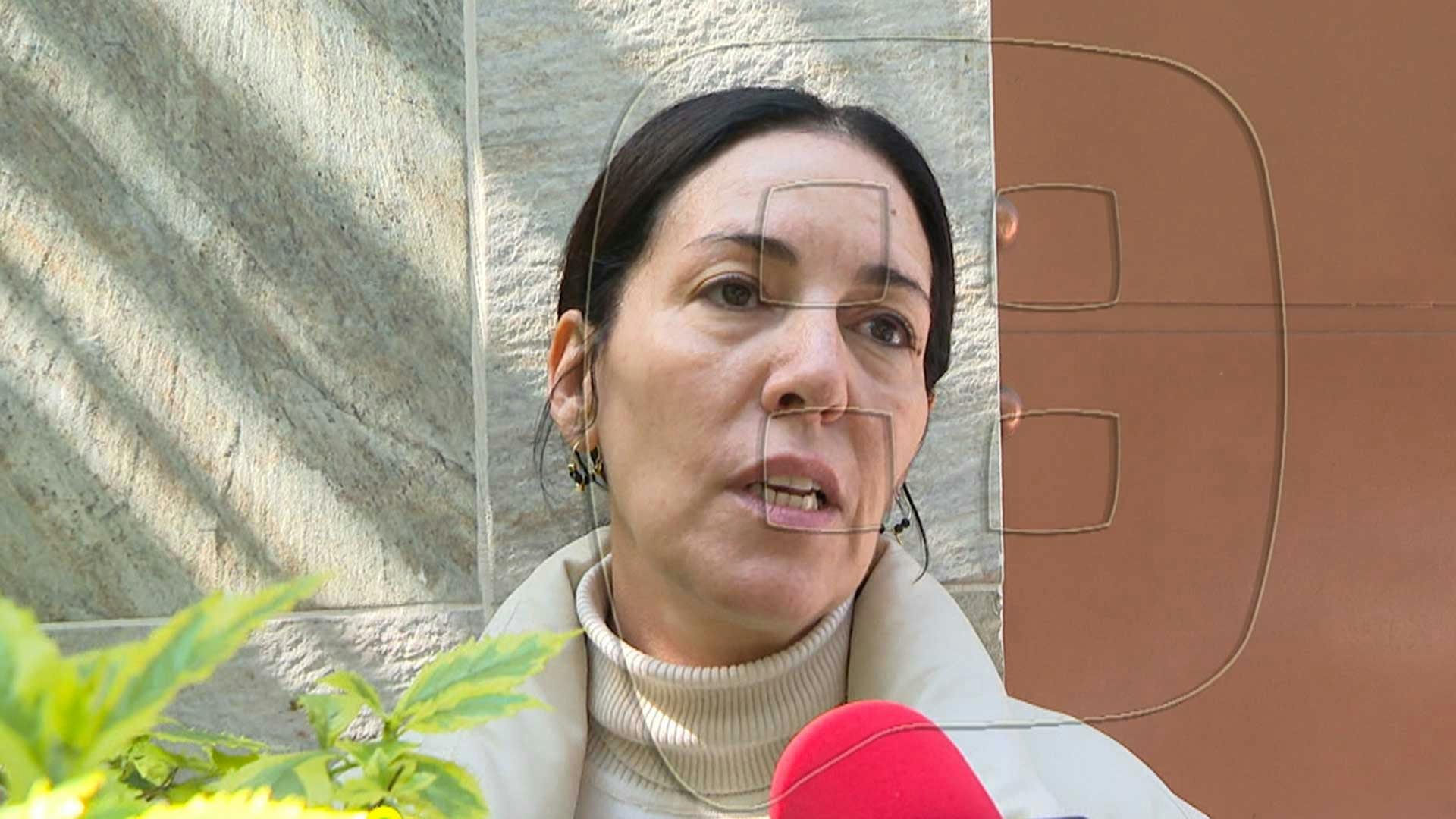 Ventaneando | Programa 23 de enero de 2025