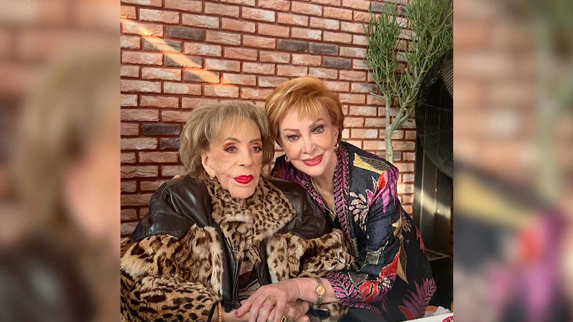 Silvia Pinal, en sus propias palabras: su tres grandes amores