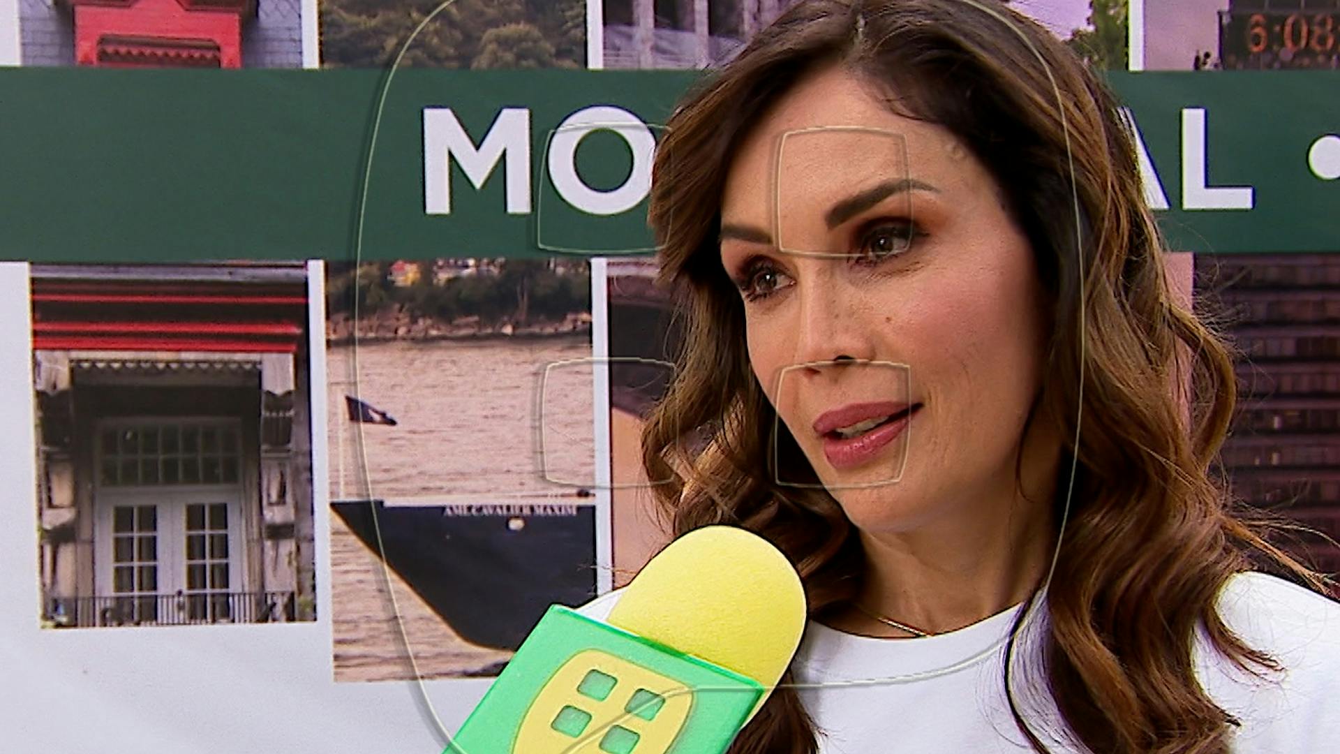 ¿Al morir Nicandro Díaz tenía un amorío con la actriz Tanya Vázquez?