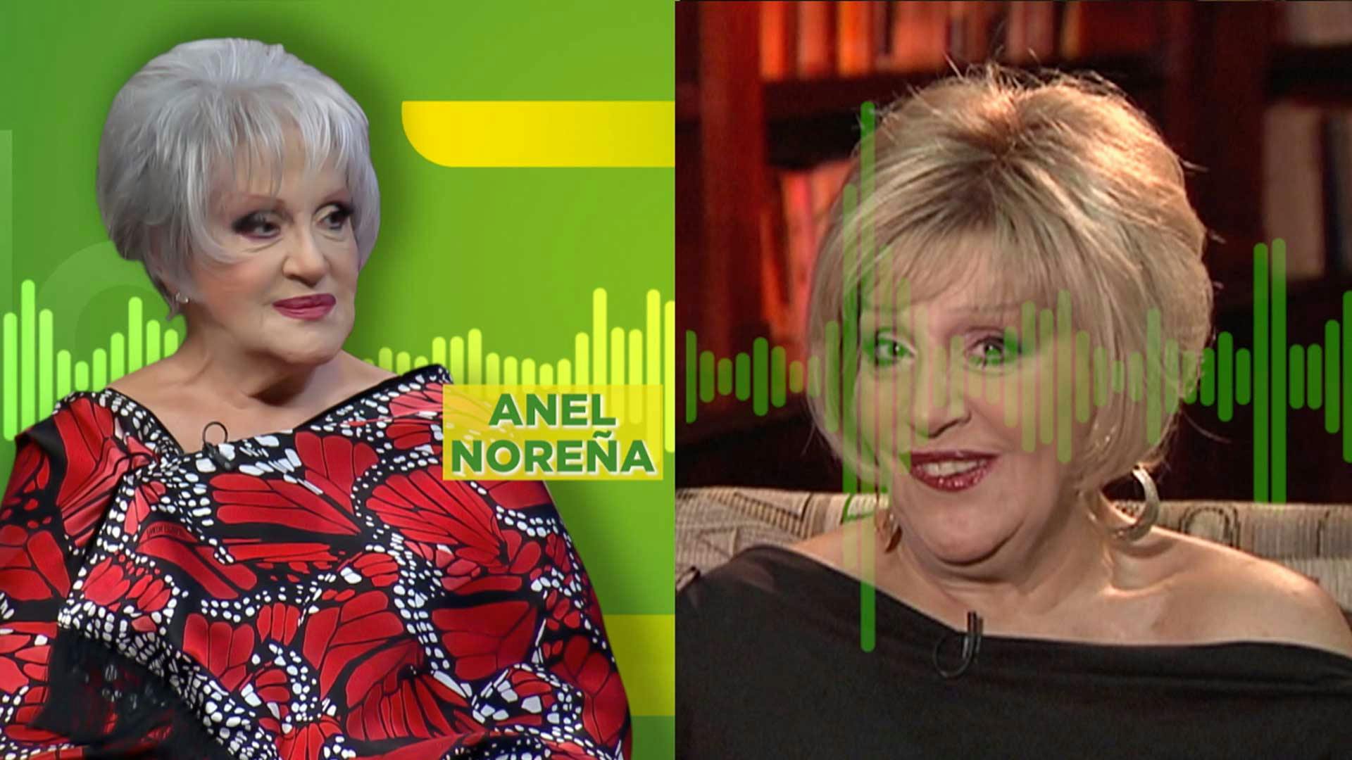 Anel revela que emprenderán proyecto especial en la estatua de José José