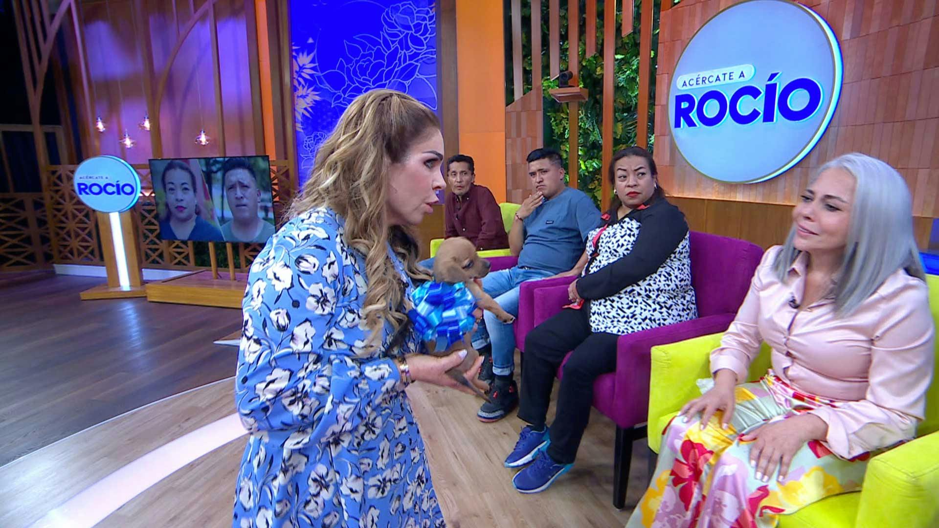 Mi hijo desaparece perros | Programa del 21 de agosto del 2024