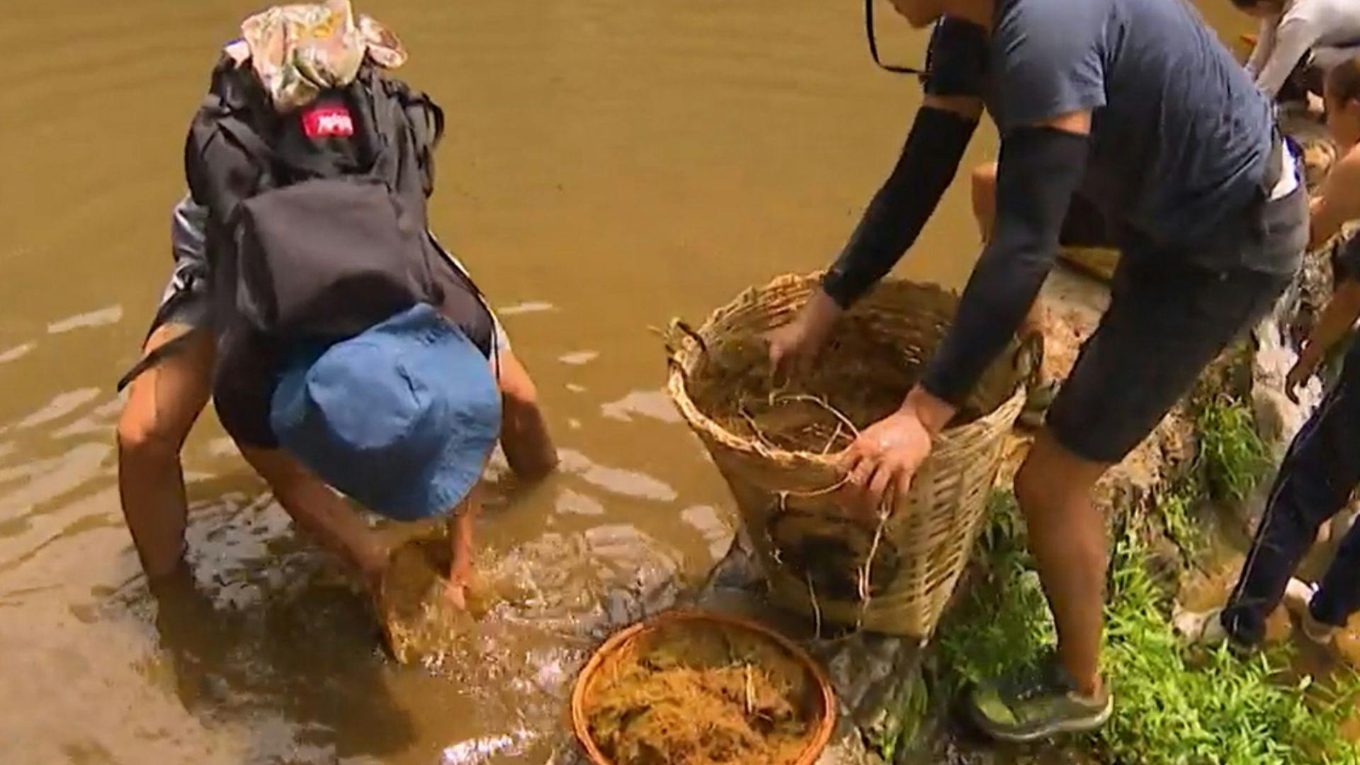 ¡Los Abandonados corren entre excremento de elefante para ganar el Amuleto del Dragón!