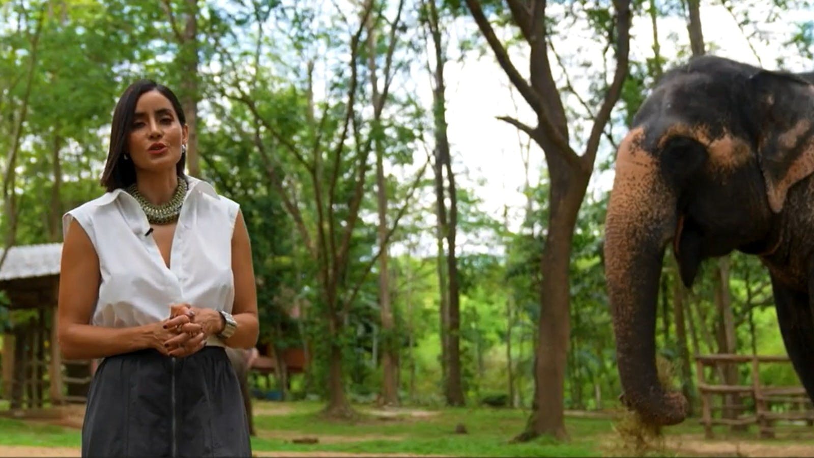 Programa 6 | 16 de septiembre | ¡Abandonados corren por Amuleto del Dragón!