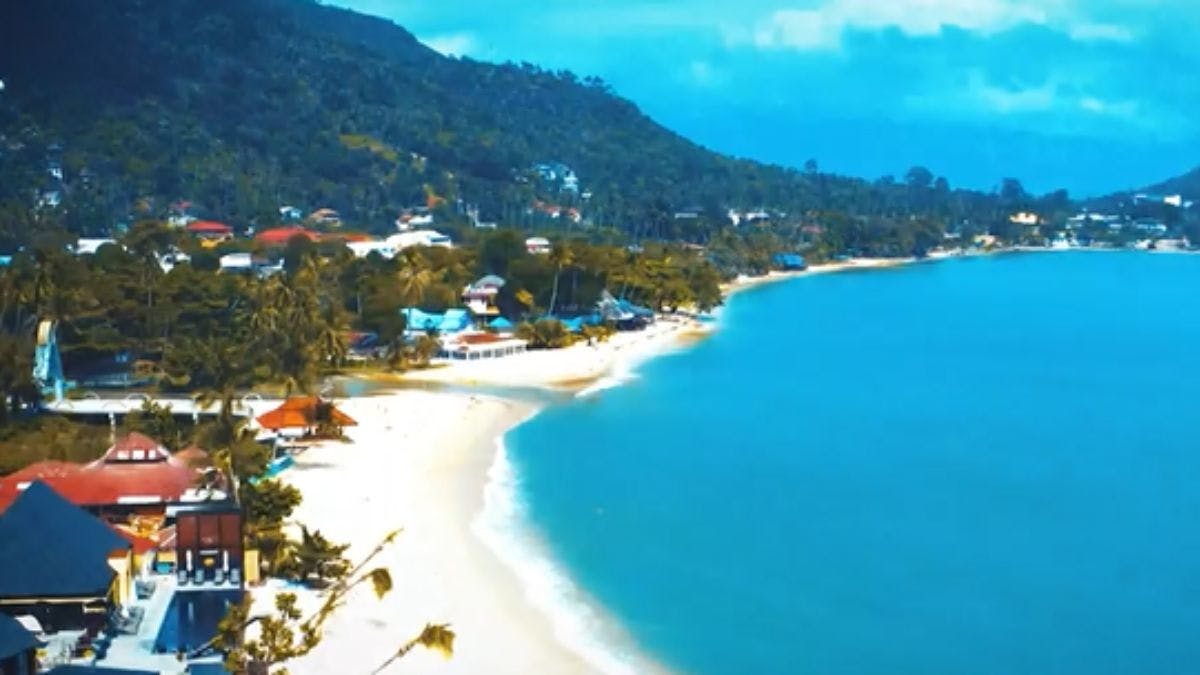 ¡Abandonados, responden preguntas para comenzar una nueva carrera!