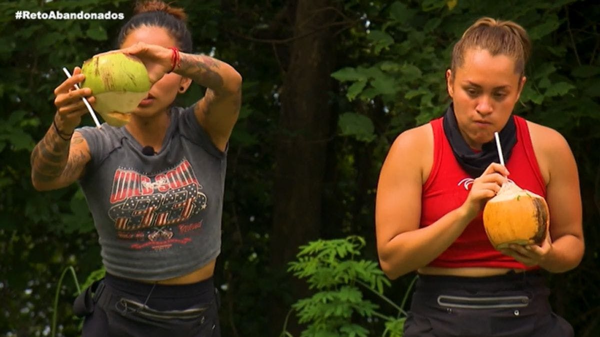 ¡Abandonados, tuvieron que demostrar cuánta agua de coco son capaces de tomar!