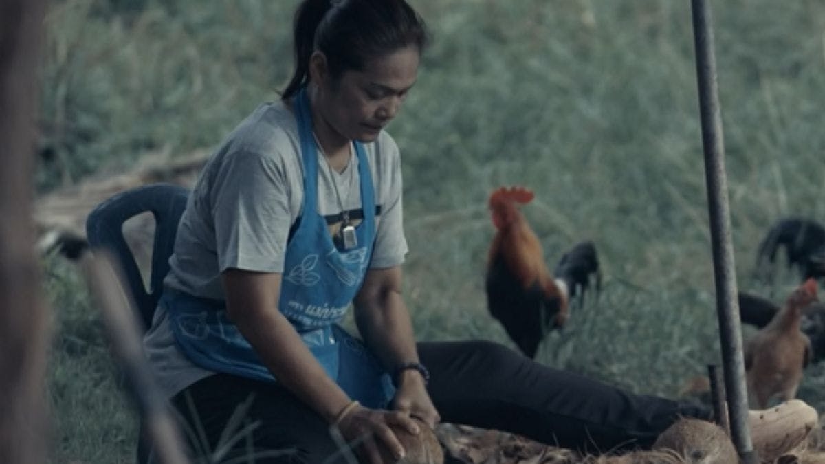 ¡Nuestras parejas se enfrentan a un divertido juego con cocos!