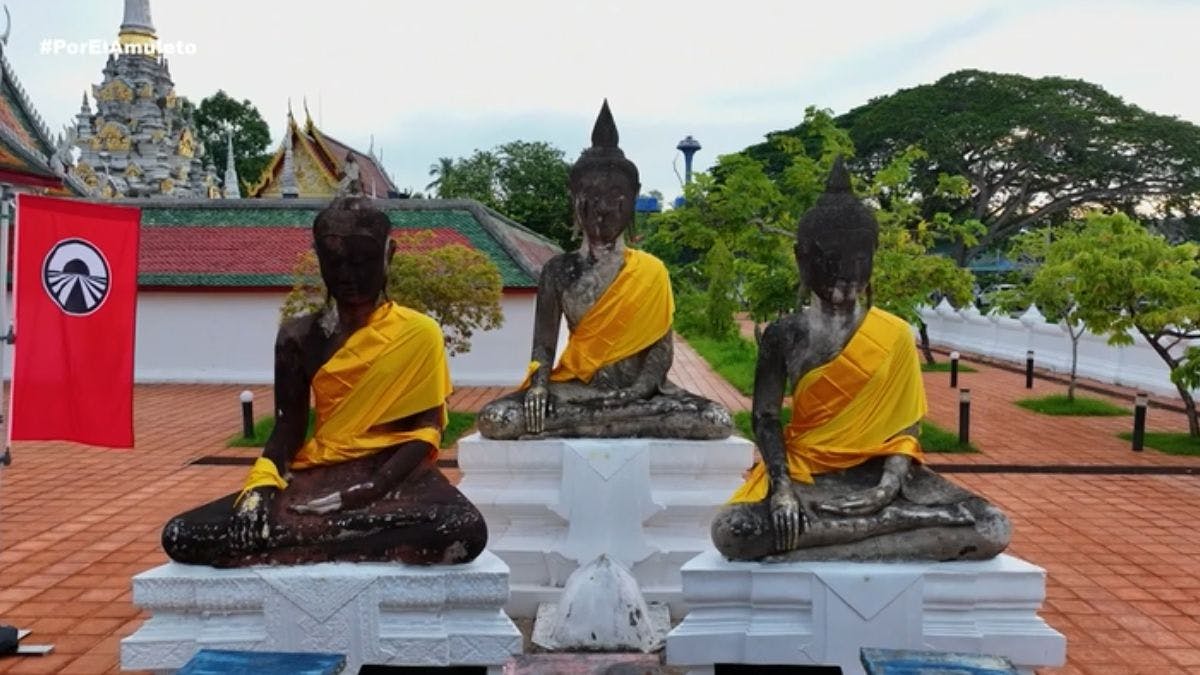 ¡Nuestros Abandonados tendrán que buscar dónde dormir, junto a su nueva pareja!