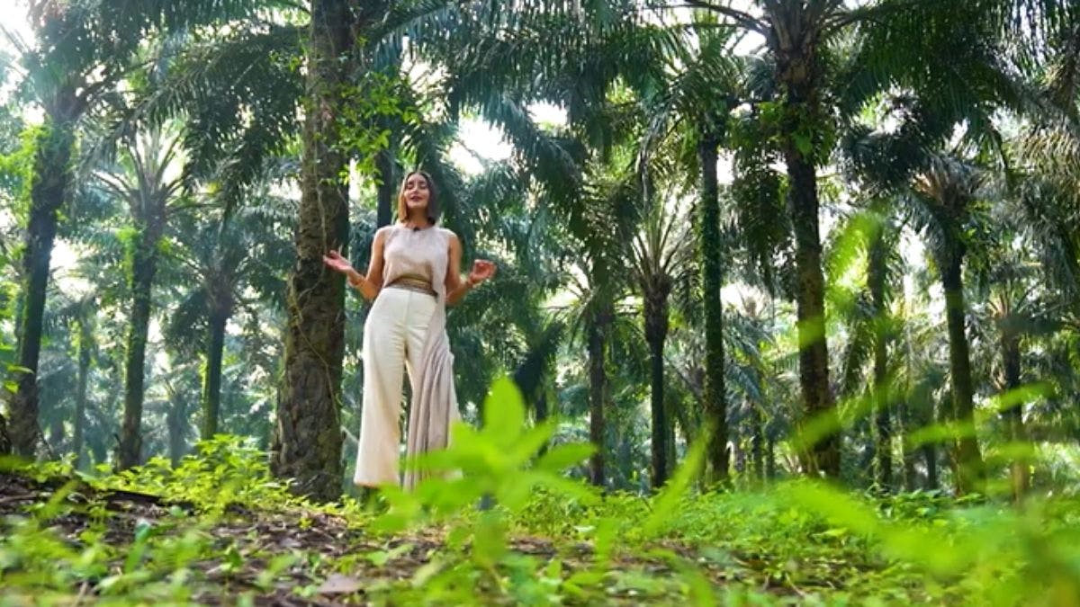 Programa 28 | 16 de octubre | ¡Abandonados, roban Amuletos del Dragón!