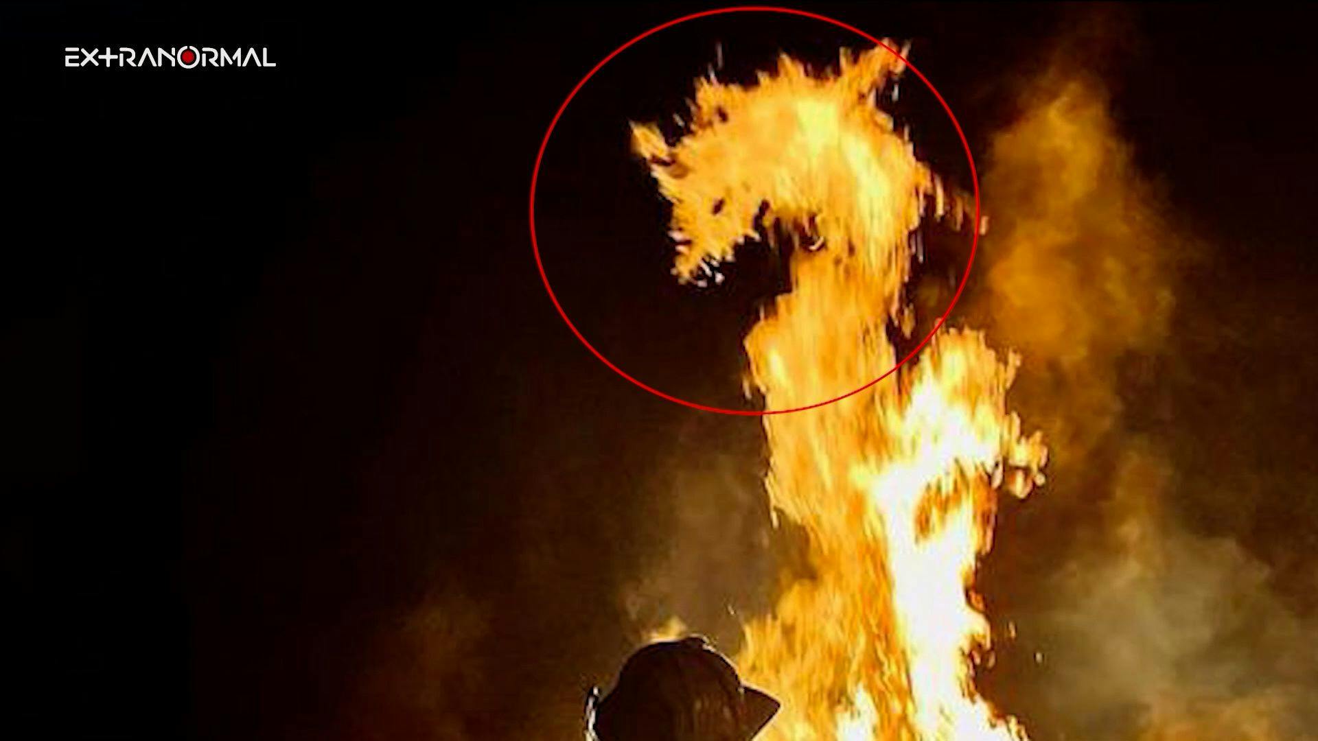 Extranormal | El ataque a Octavio