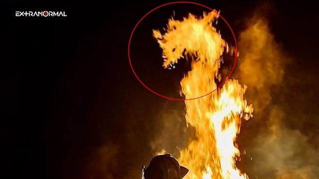 Extranormal | El ataque a Octavio