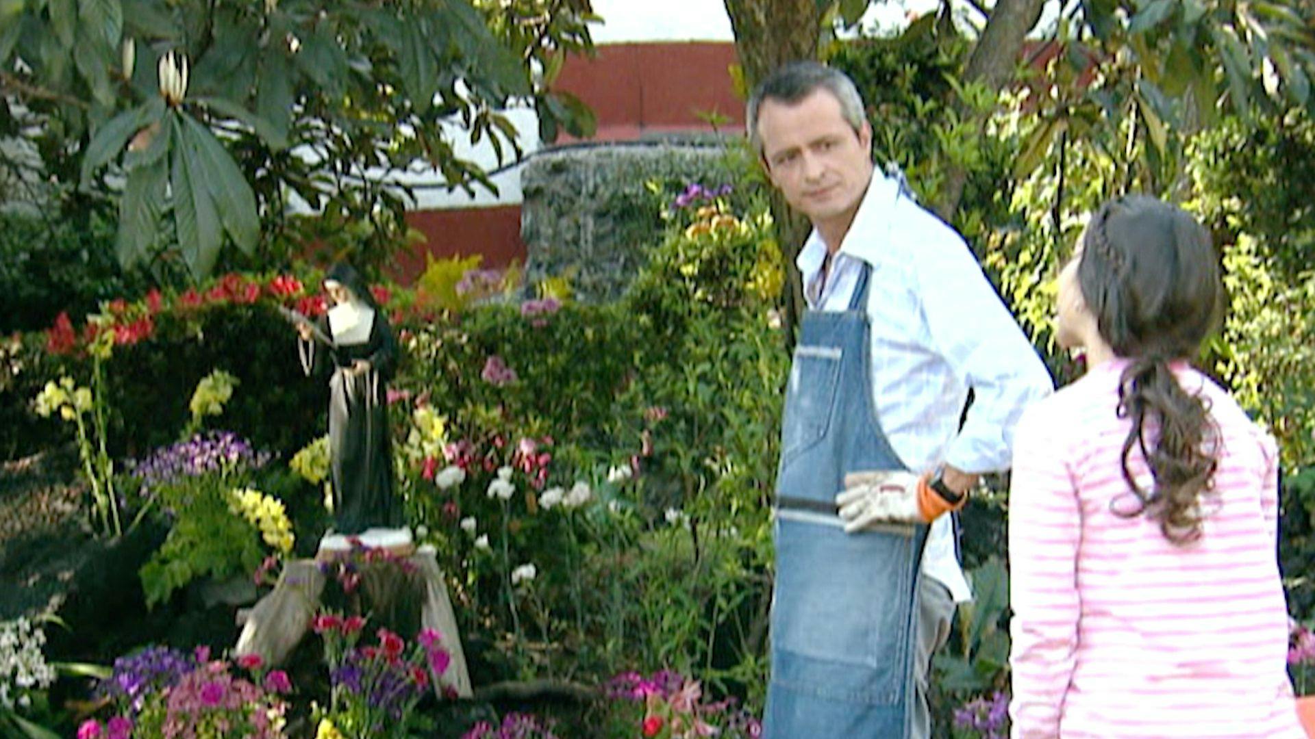 A Cada Quien Su Santo | Los jardines de la fe