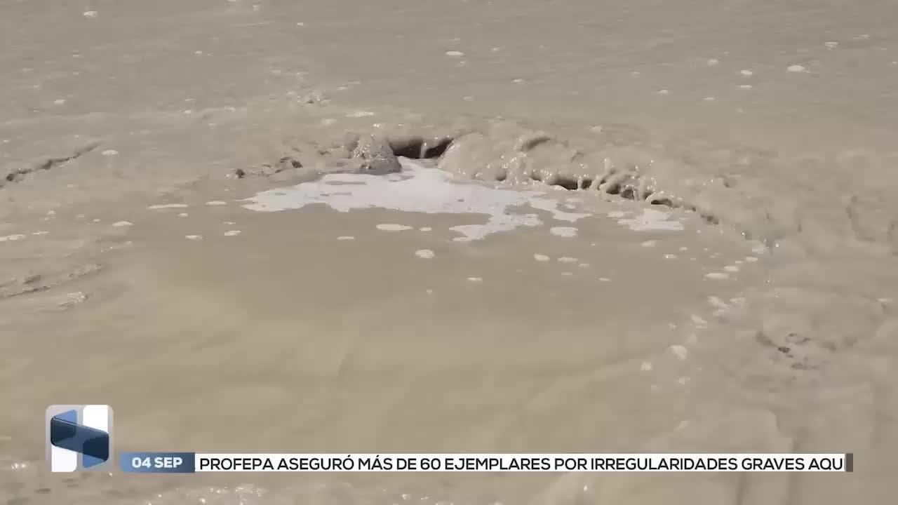 Noticias Querétaro del 4 de septiembre 2025