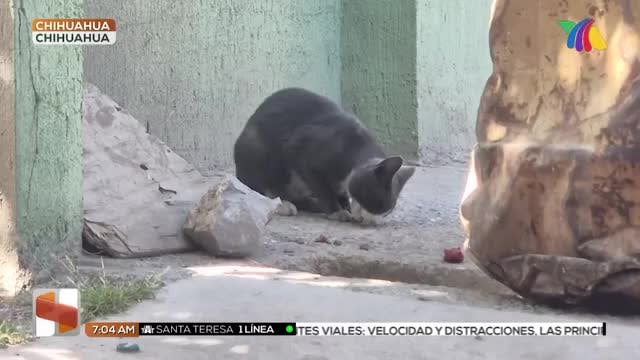 Noticias Ciudad Juárez del 8 de septiembre 2025