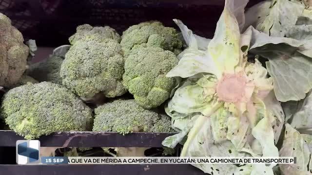 Noticias Zacatecas del 15 de septiembre 2025