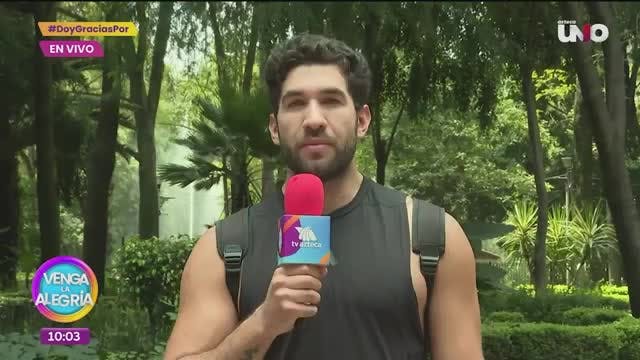 ¿Cuáles son las consecuencias de fomentar la competitividad entre hermanos?: En VLA, el especialista Walberto Tenorio responde